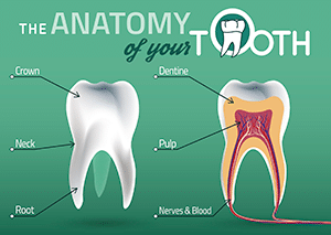 general dentistry img2